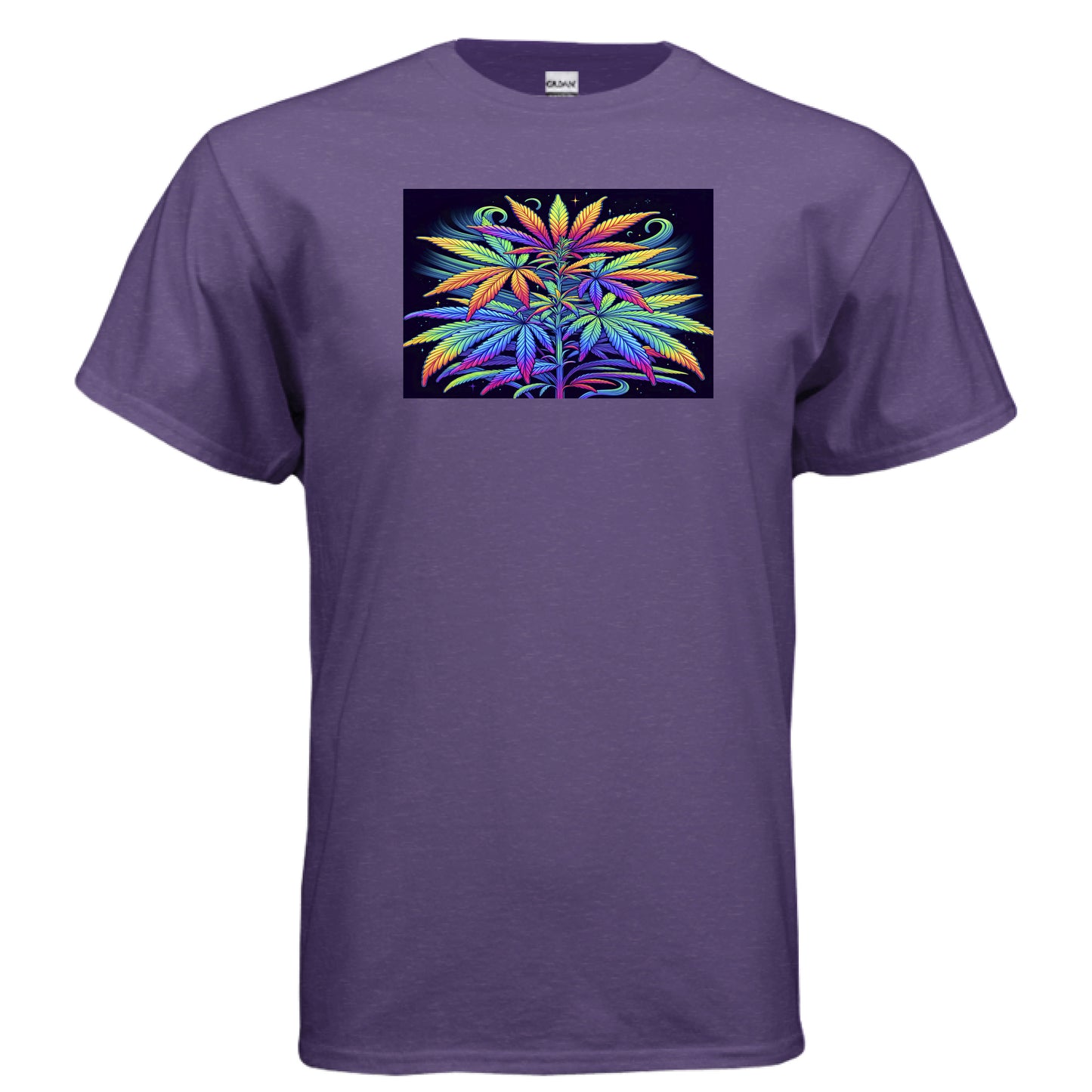 LILAC - FRONT